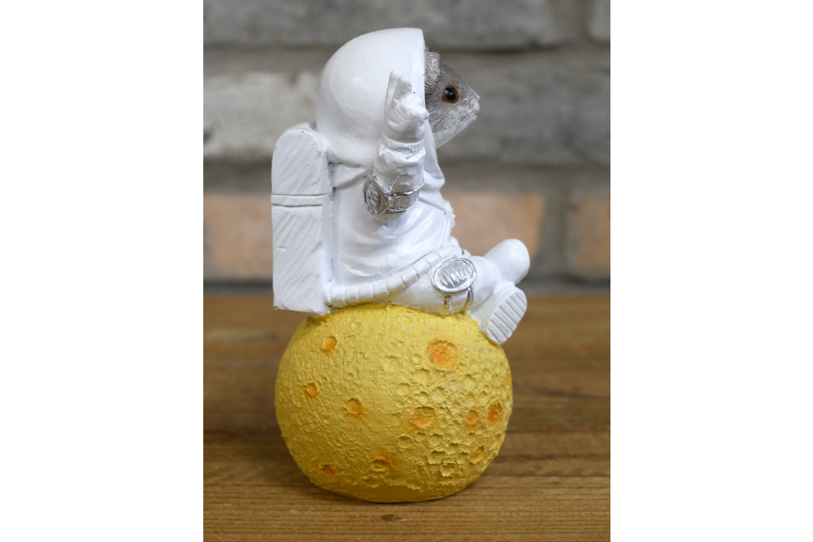 Mouse on the Moon