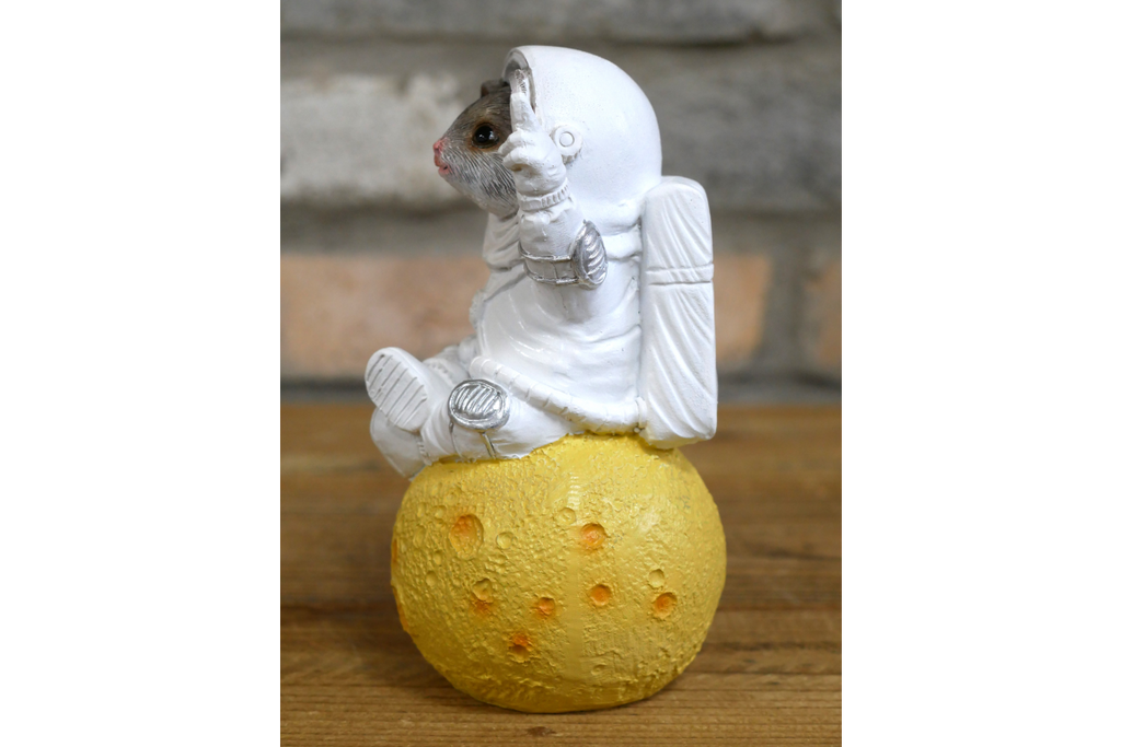 Mouse on the Moon