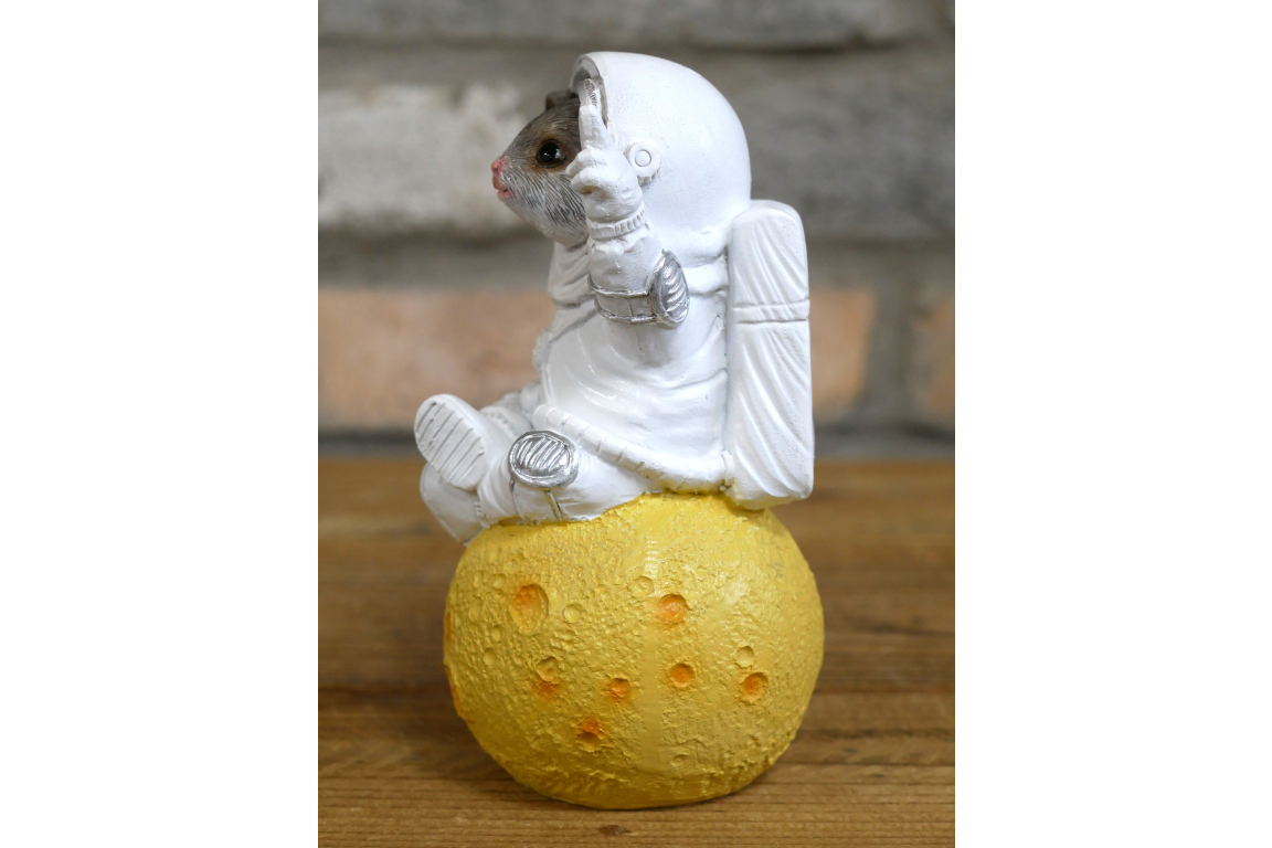 Mouse on the Moon