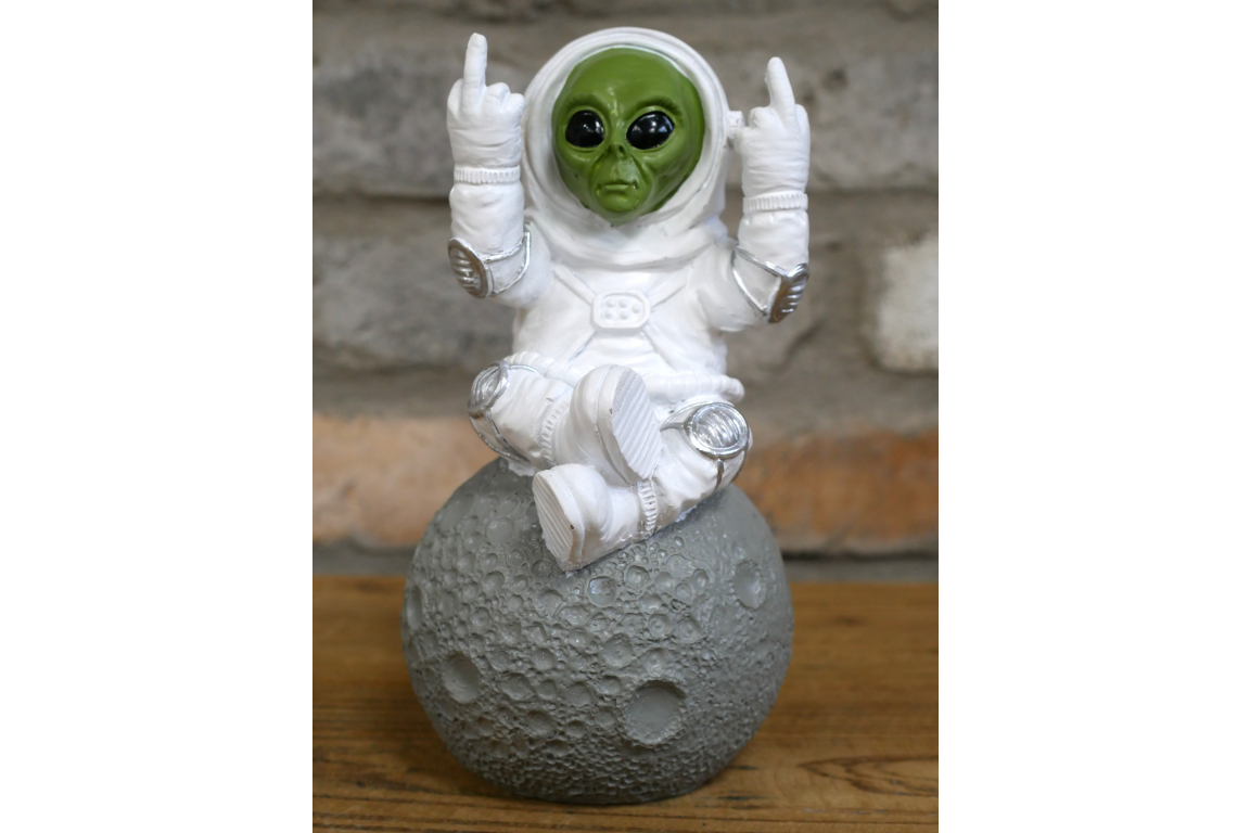 Alien on the Moon