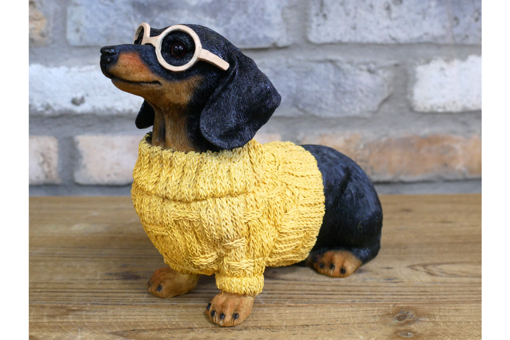 Dachshund Dog