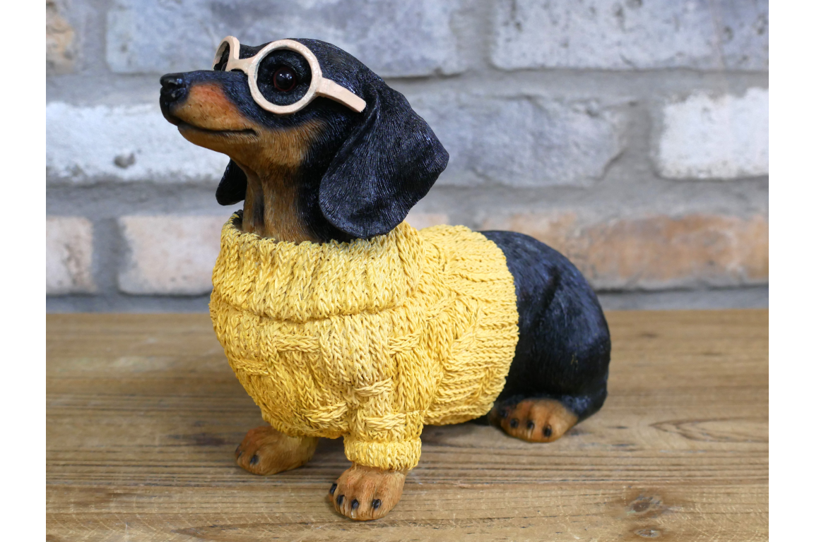 Dachshund Dog