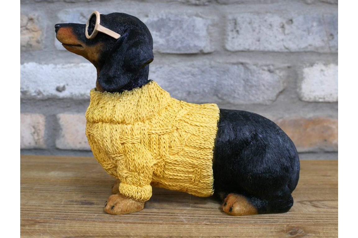 Dachshund Dog