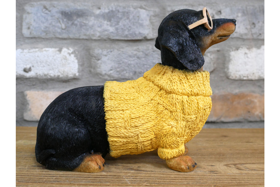 Dachshund Dog