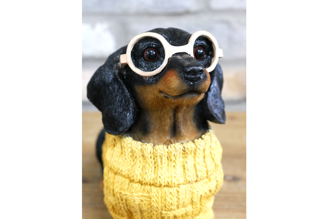 Dachshund Dog