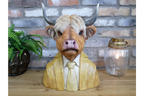 Cow Bust