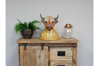 Cow Bust