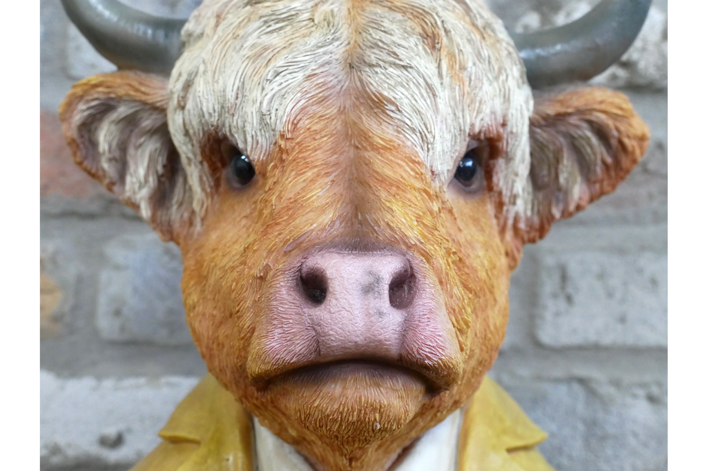 Cow Bust