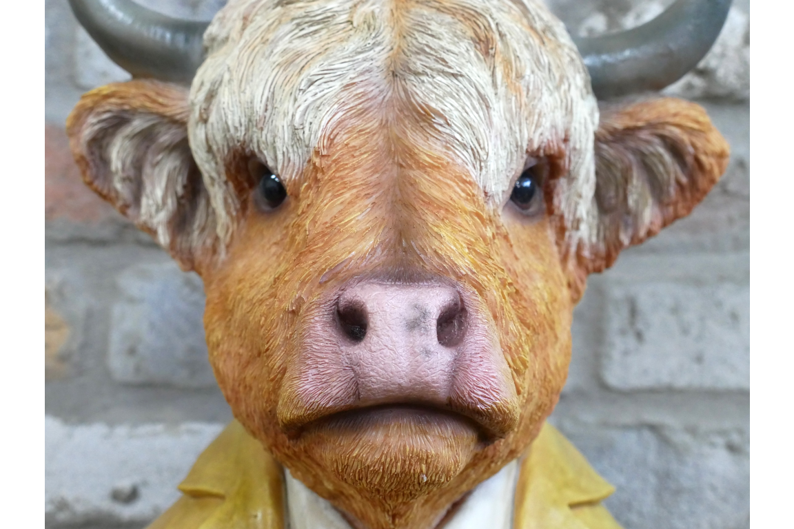 Cow Bust