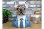 Frenchie Bust