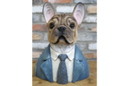 Frenchie Bust