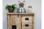 Frenchie Bust
