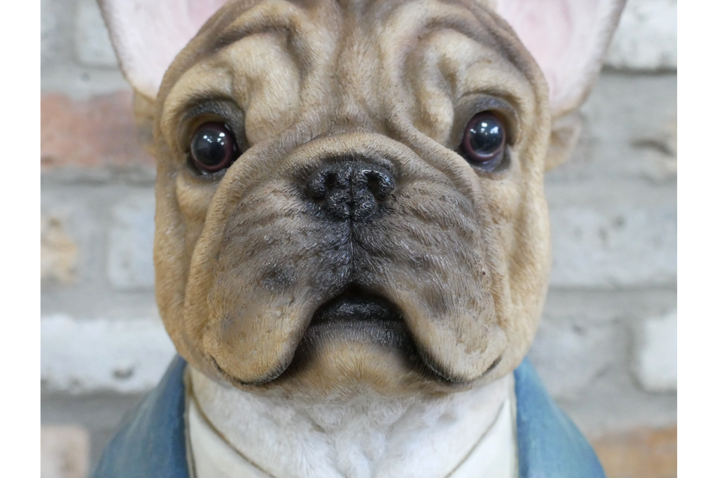Frenchie Bust
