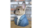 Frenchie Bust
