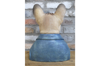 Frenchie Bust
