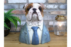 Bulldog Bust