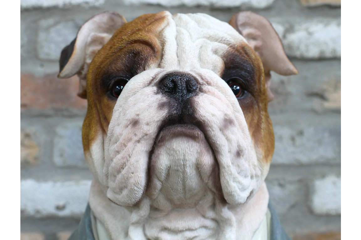 Bulldog Bust