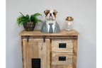 Bulldog Bust