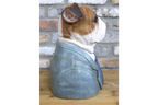 Bulldog Bust
