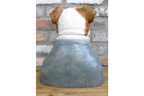 Bulldog Bust