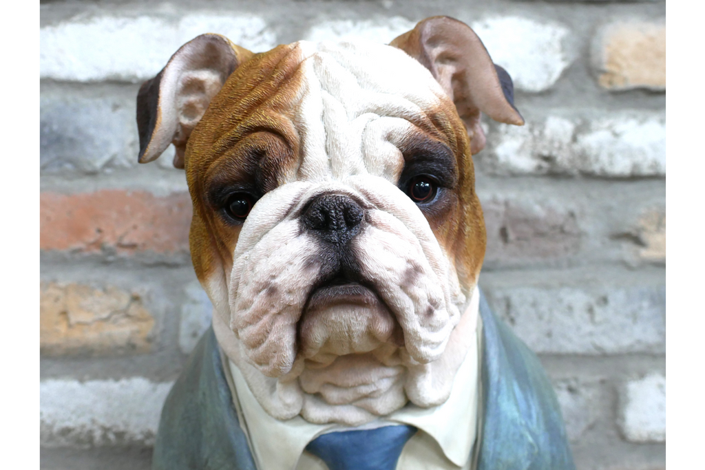 Bulldog Bust