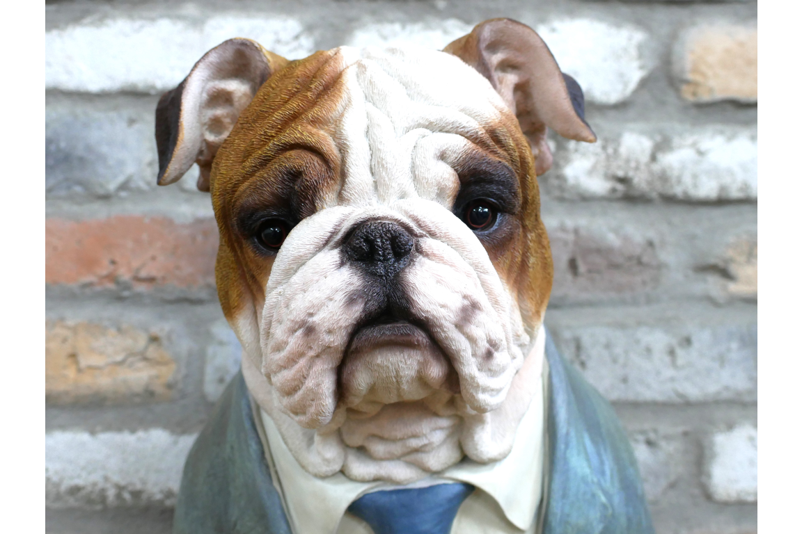 Bulldog Bust