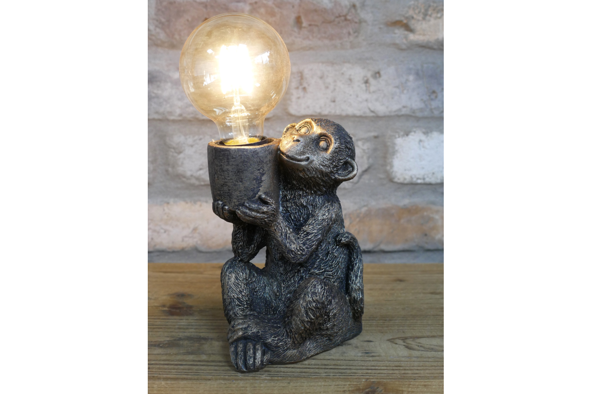Monkey Light
