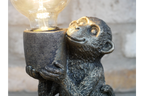 Monkey Light