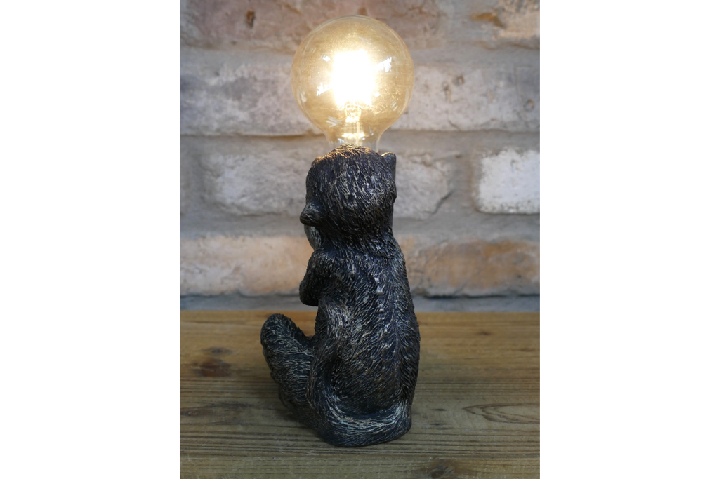 Monkey Light