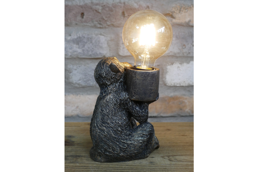 Monkey Light