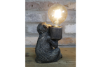 Monkey Light