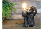Monkey Light