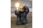Monkey Light