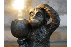 Monkey Light