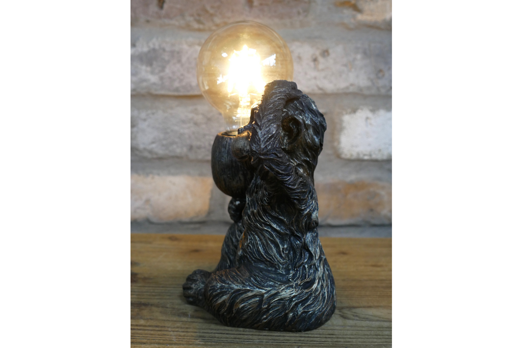 Monkey Light