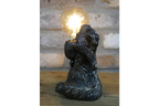 Monkey Light
