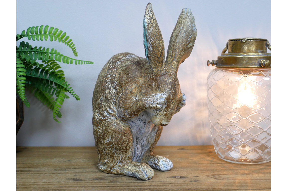 Rabbit