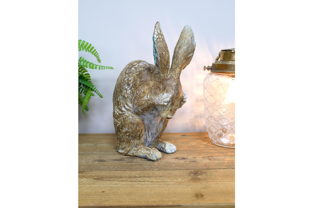 Rabbit