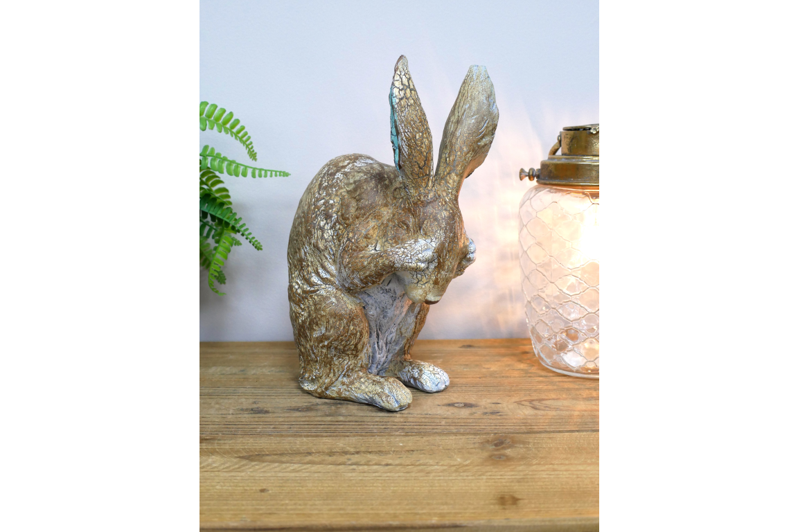 Rabbit