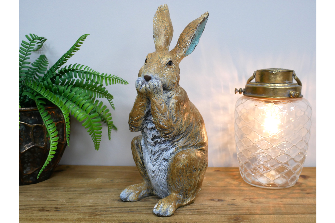 Rabbit