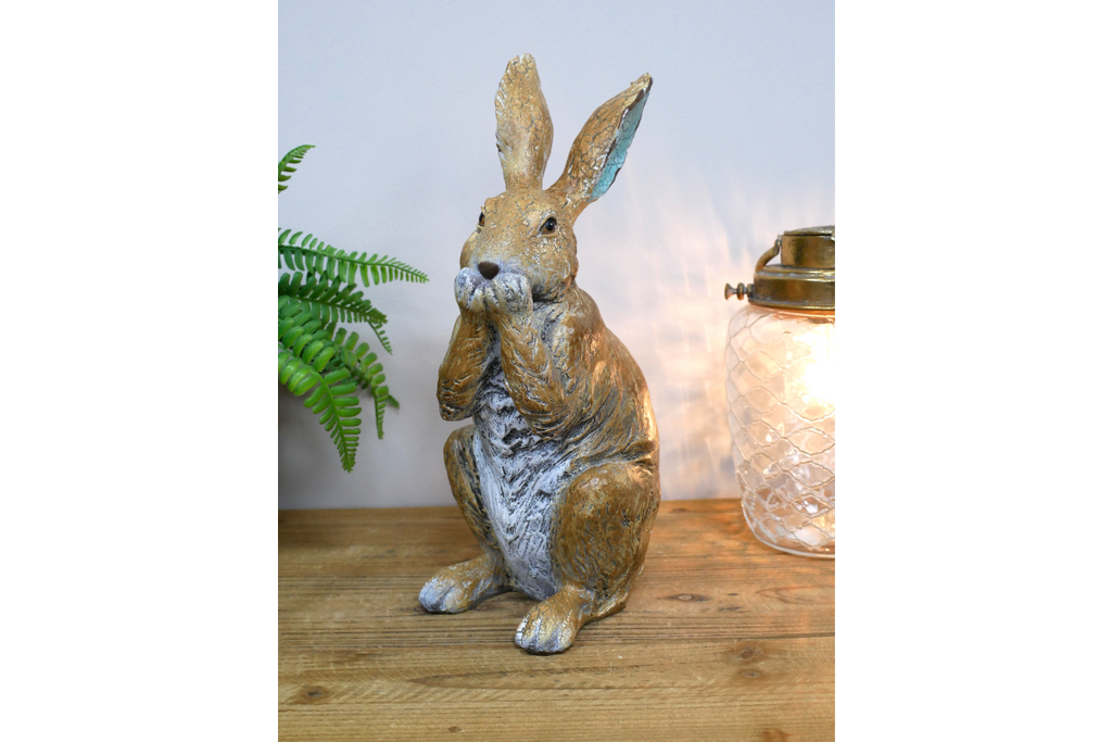 Rabbit