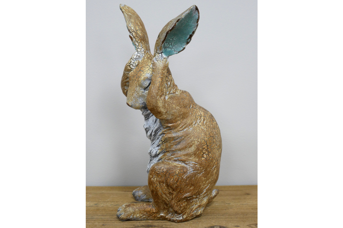 Rabbit