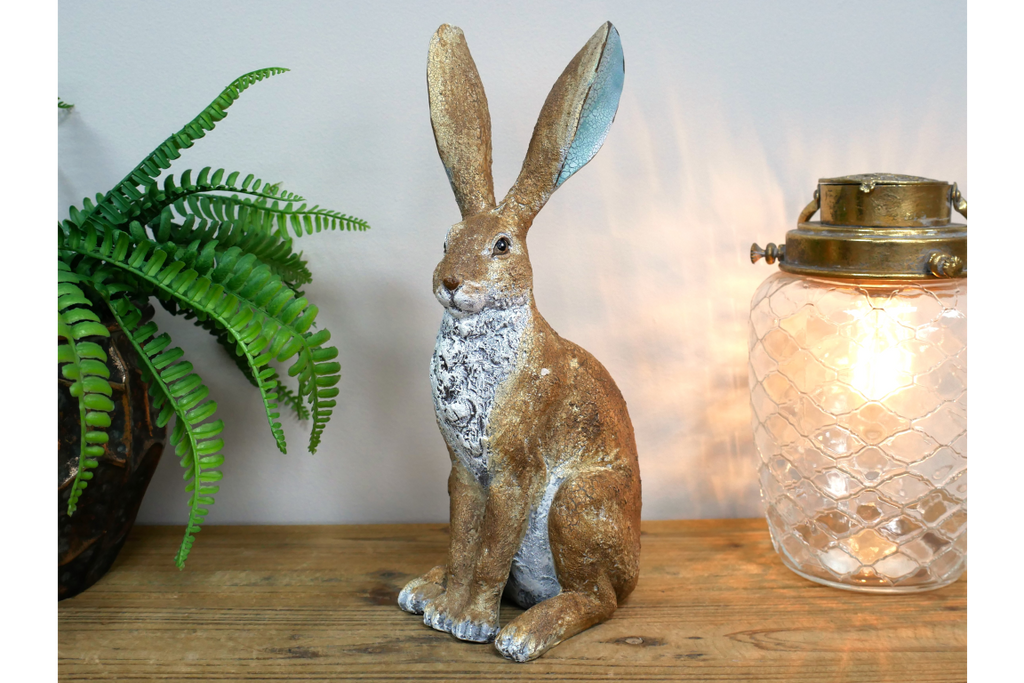 Rabbit