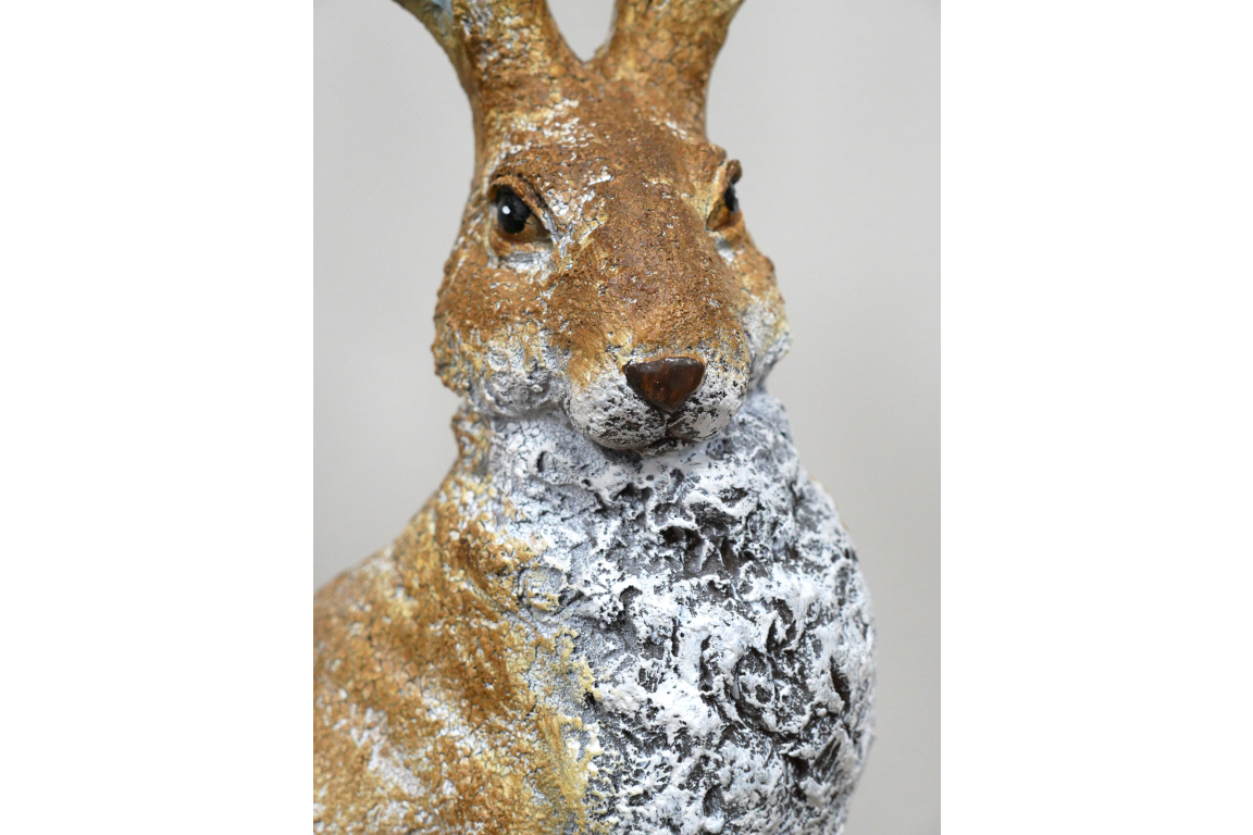 Rabbit