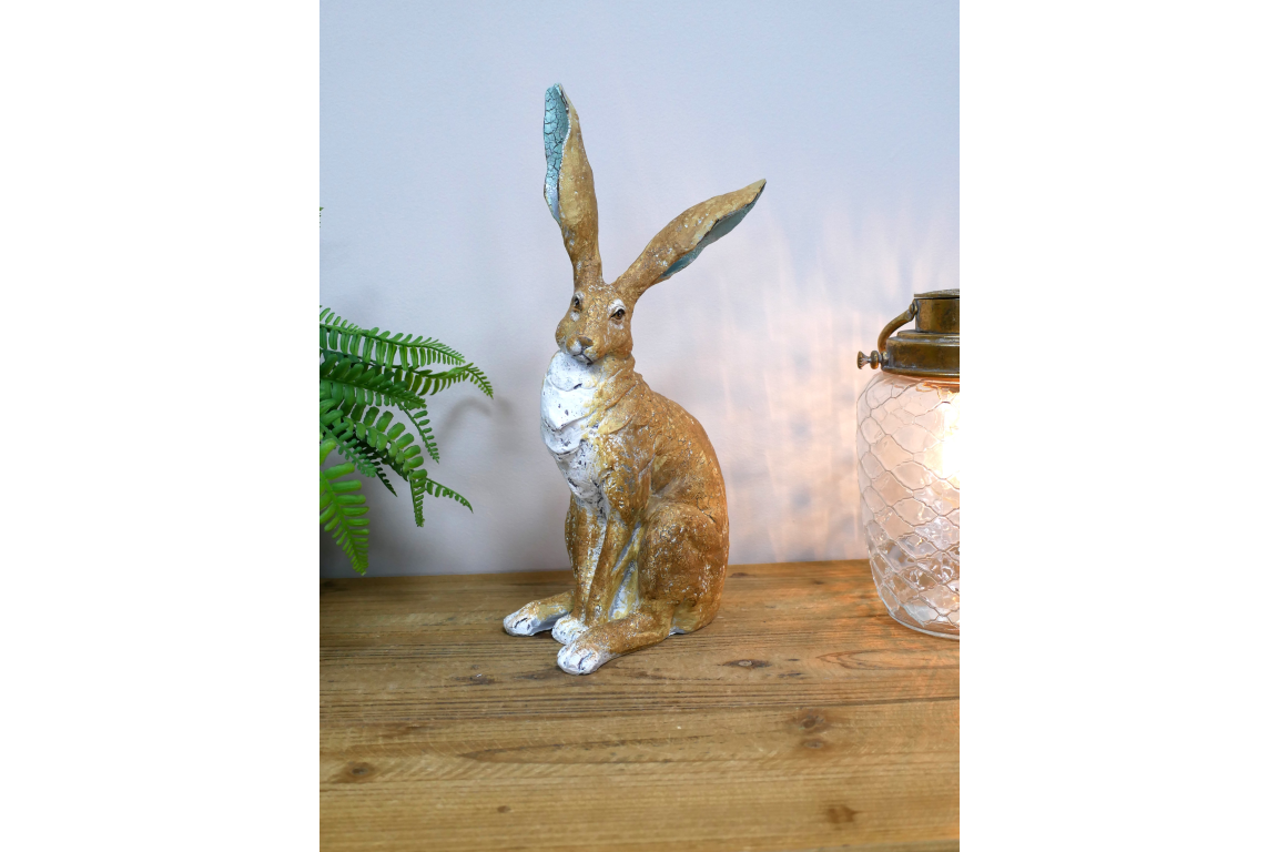 Rabbit