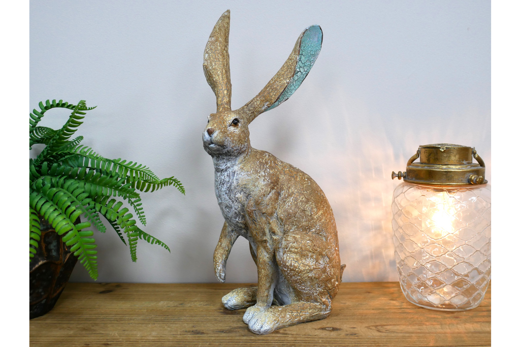 Rabbit