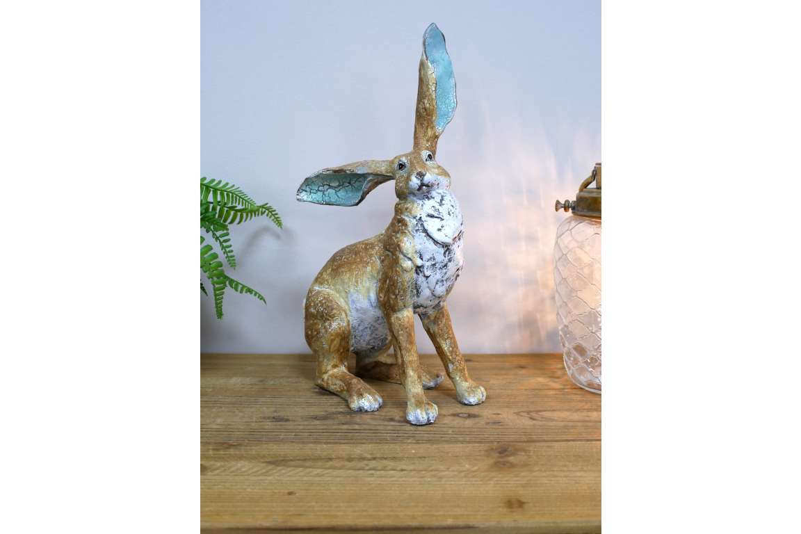 Rabbit