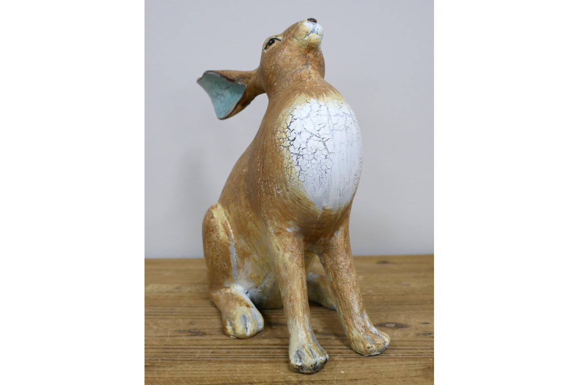 Rabbit