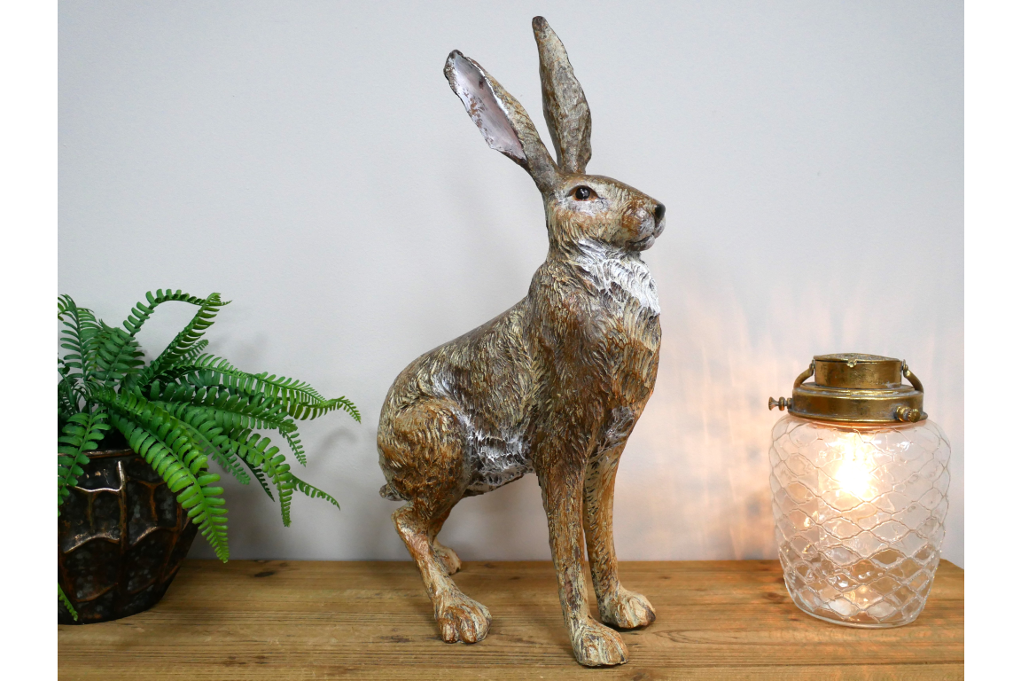 Rabbit