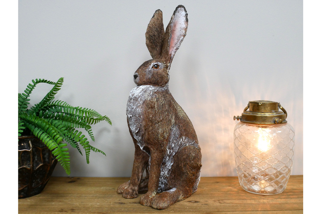 Rabbit